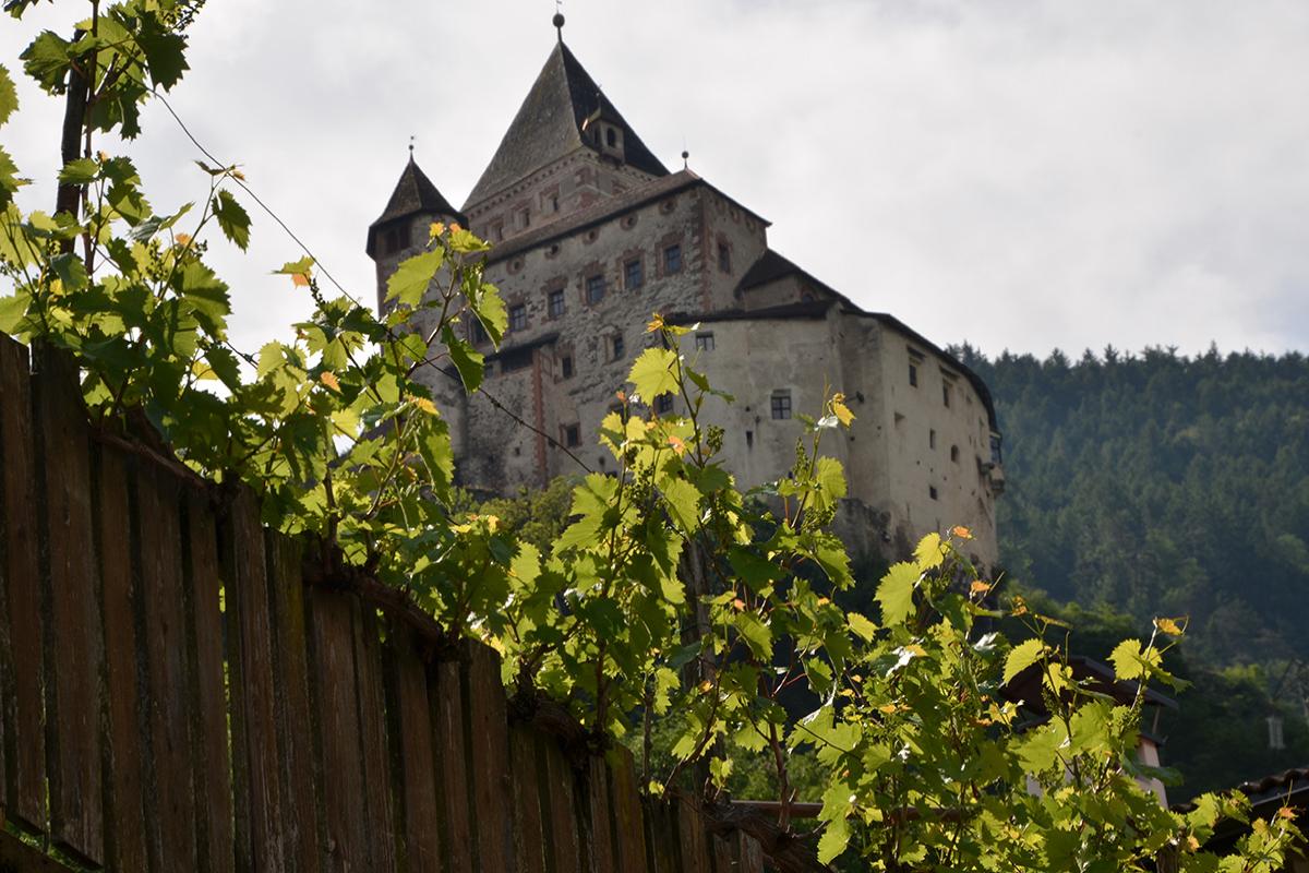 Trostburg Neustift 03.06.2016